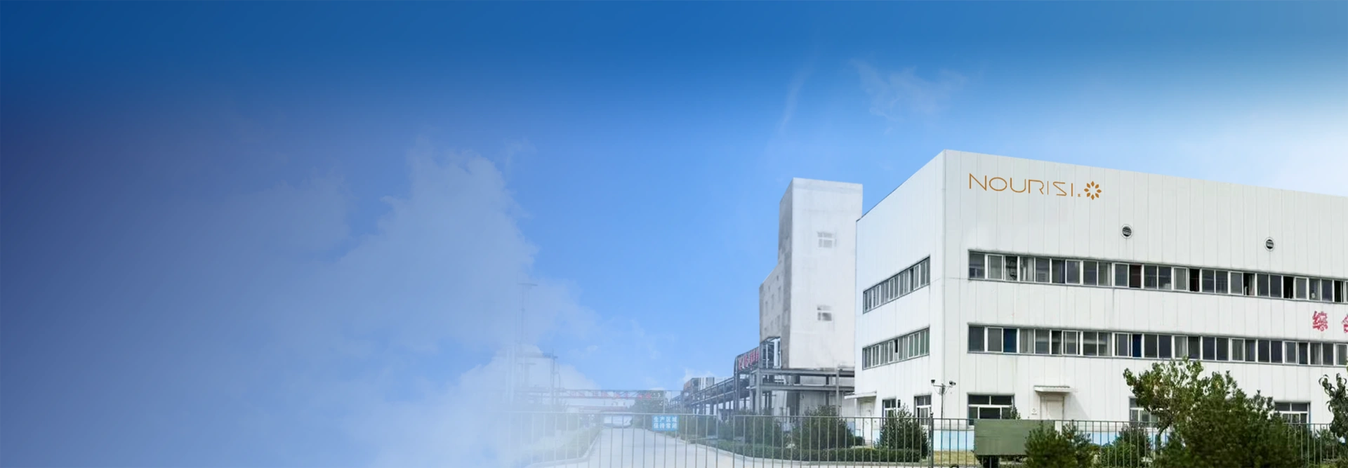 Privacy Policy-BANNER