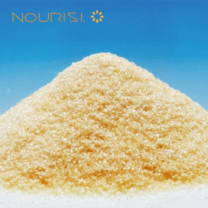 CAS 9000-70-8 Gelatin