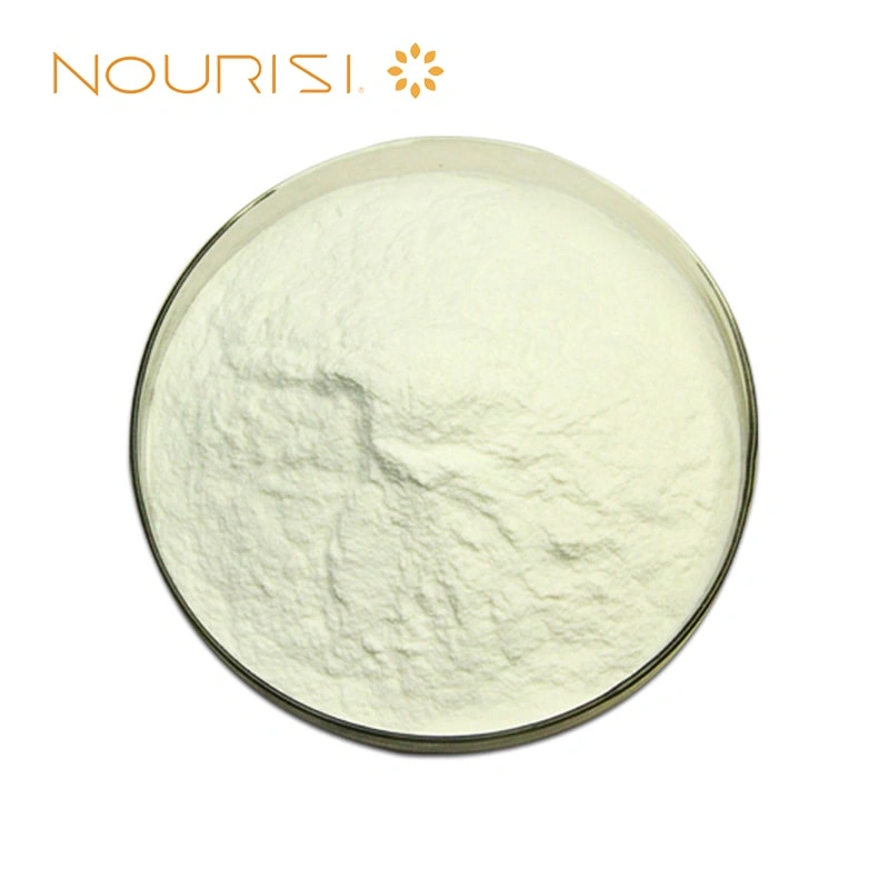 Sodium Alginate Powder
