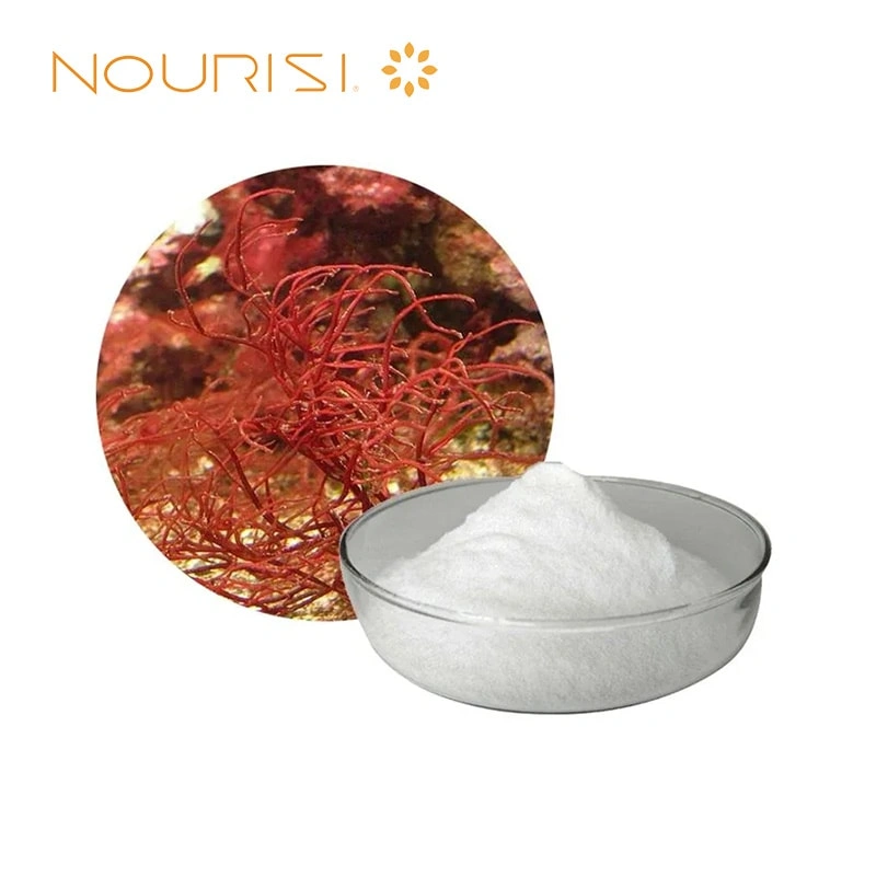 Carrageenan Product Overview