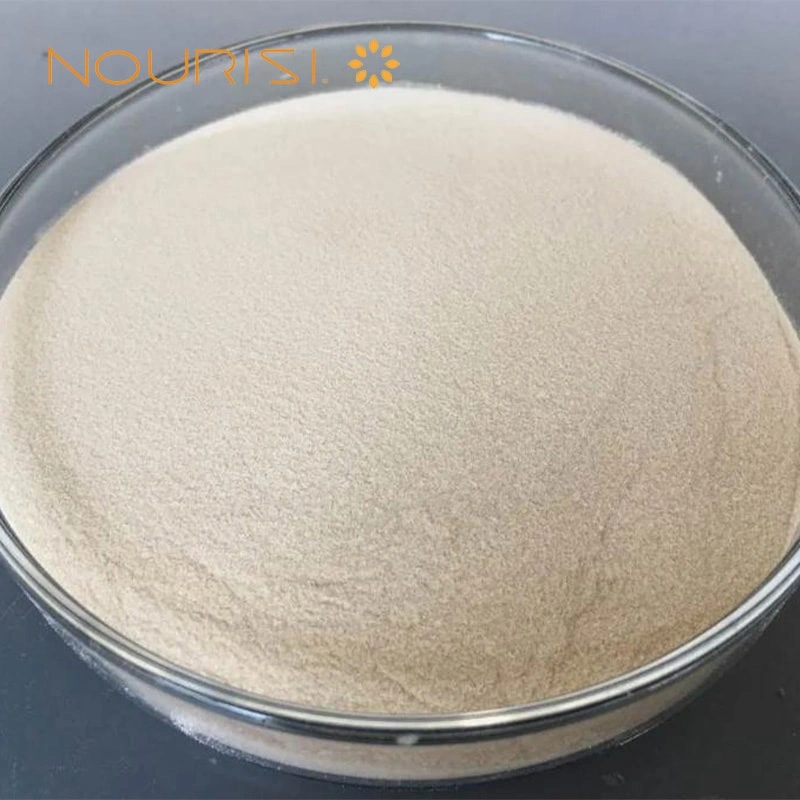 Pharmaceutical Grade Agar 
