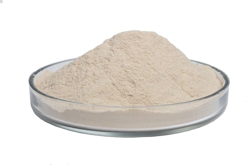 What is Sodium Alginate
