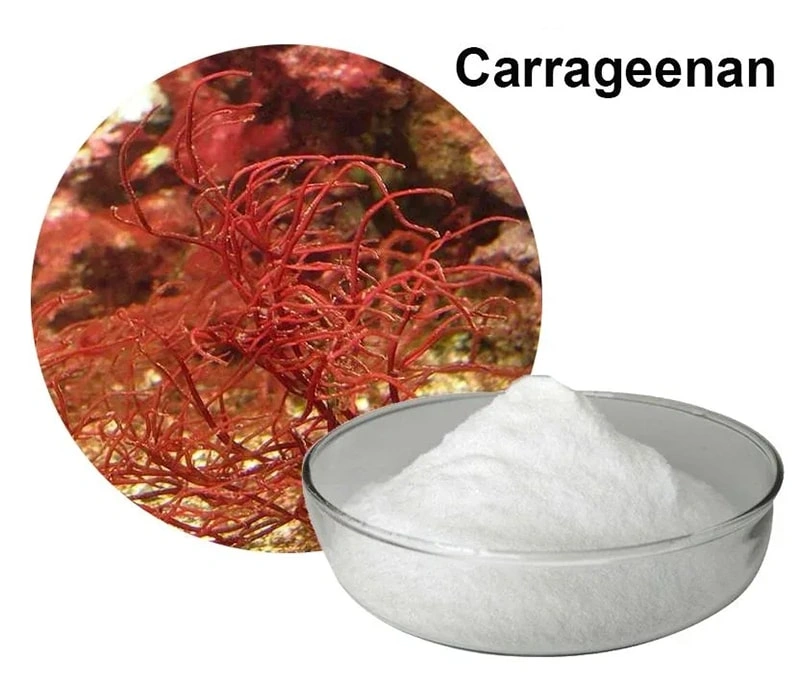 Carrageenan in Meat Production