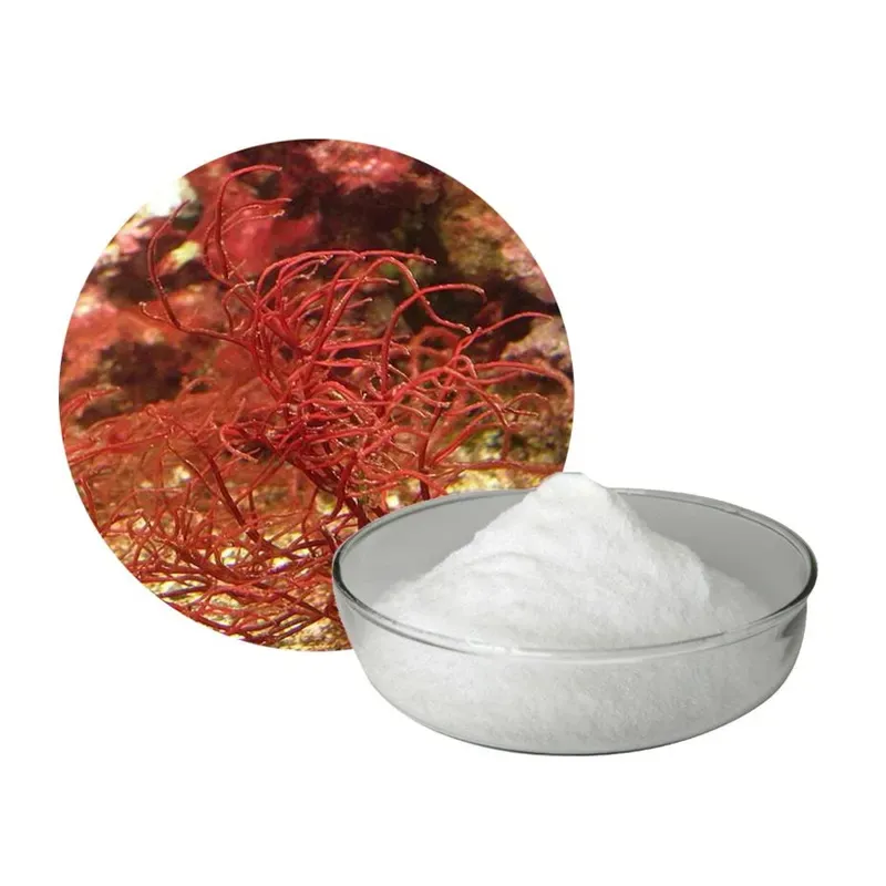 Carrageenan-A Versatile Natural Food Additive - detail image 3