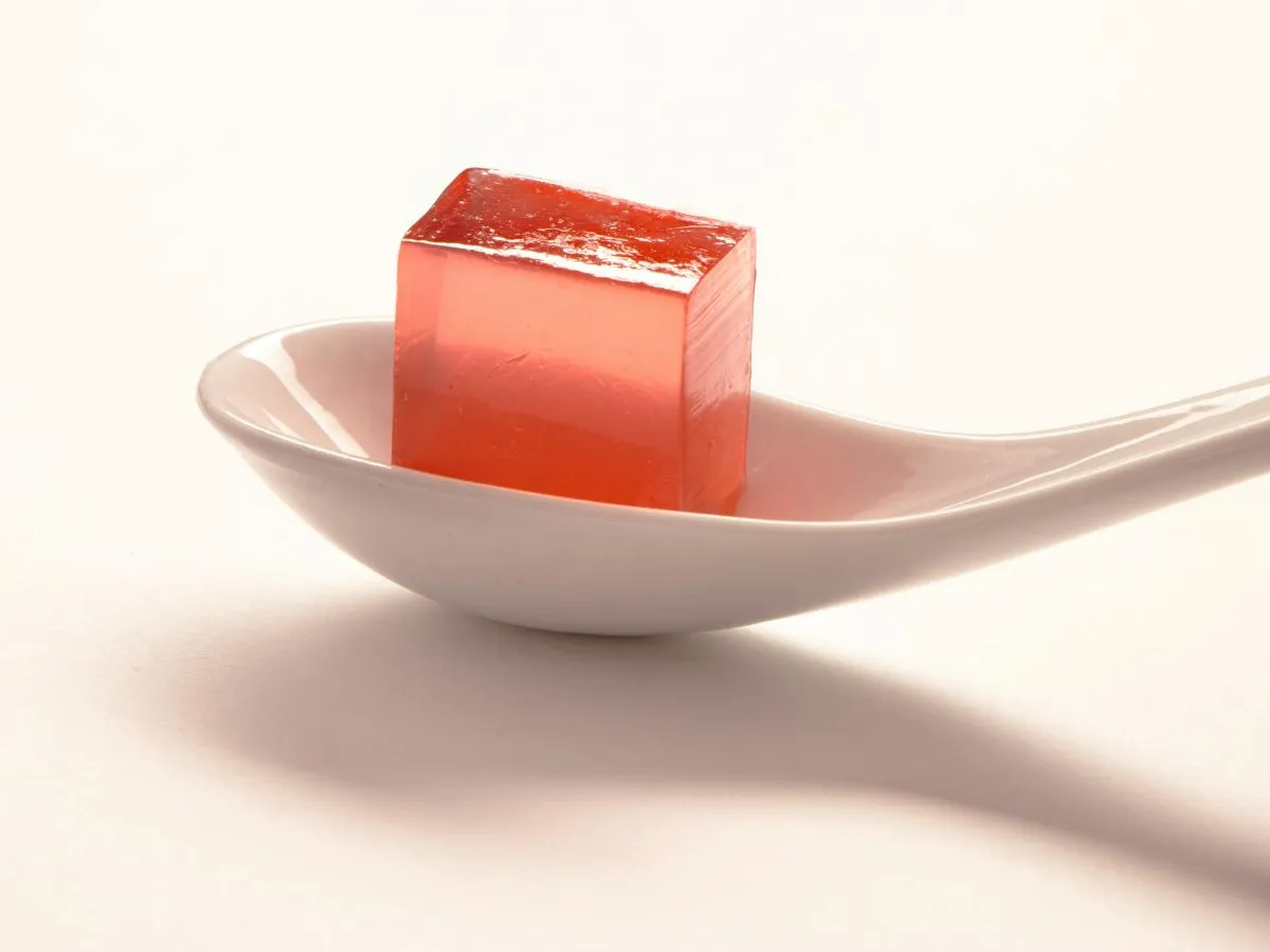 Agar vs. Gelatin