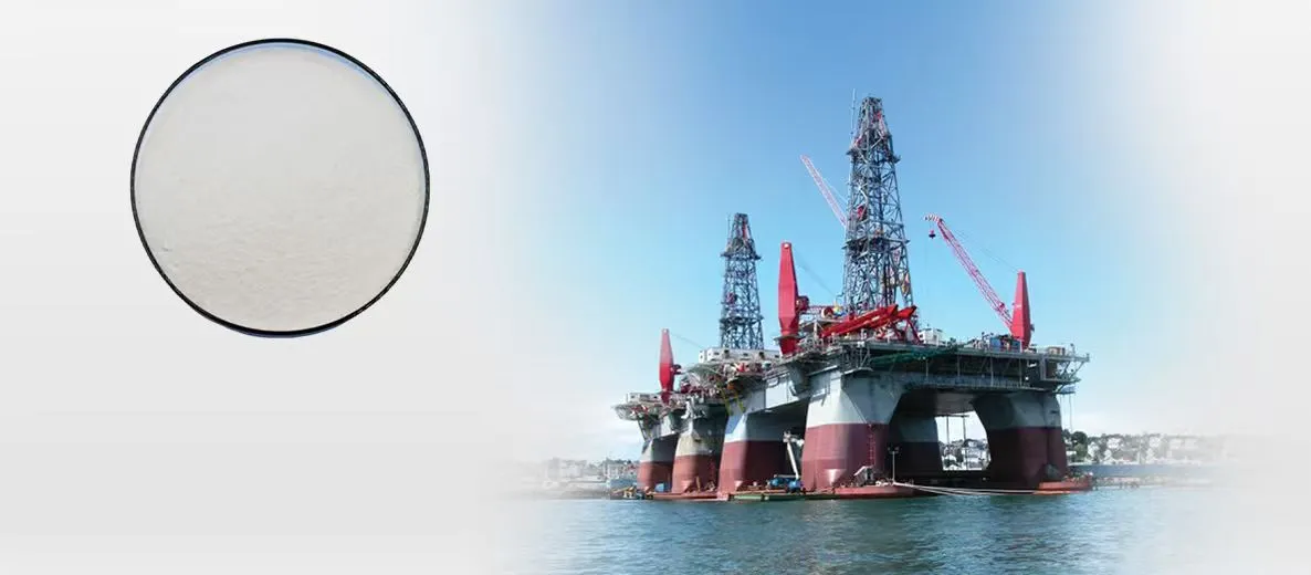How Polyanionic Cellulose (PAC) Controls API Fluid Loss in Water-Based Drilling Fluids - detail image 4