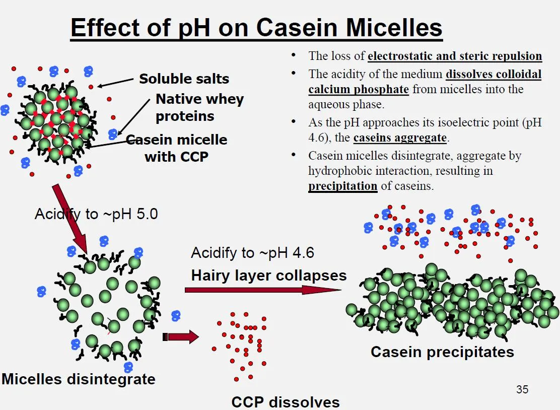 How to Prevent Sedimentation in Acidified Milk Drinks CMC Stabilization Mechanism and Formulation Solutions - detail image 2
